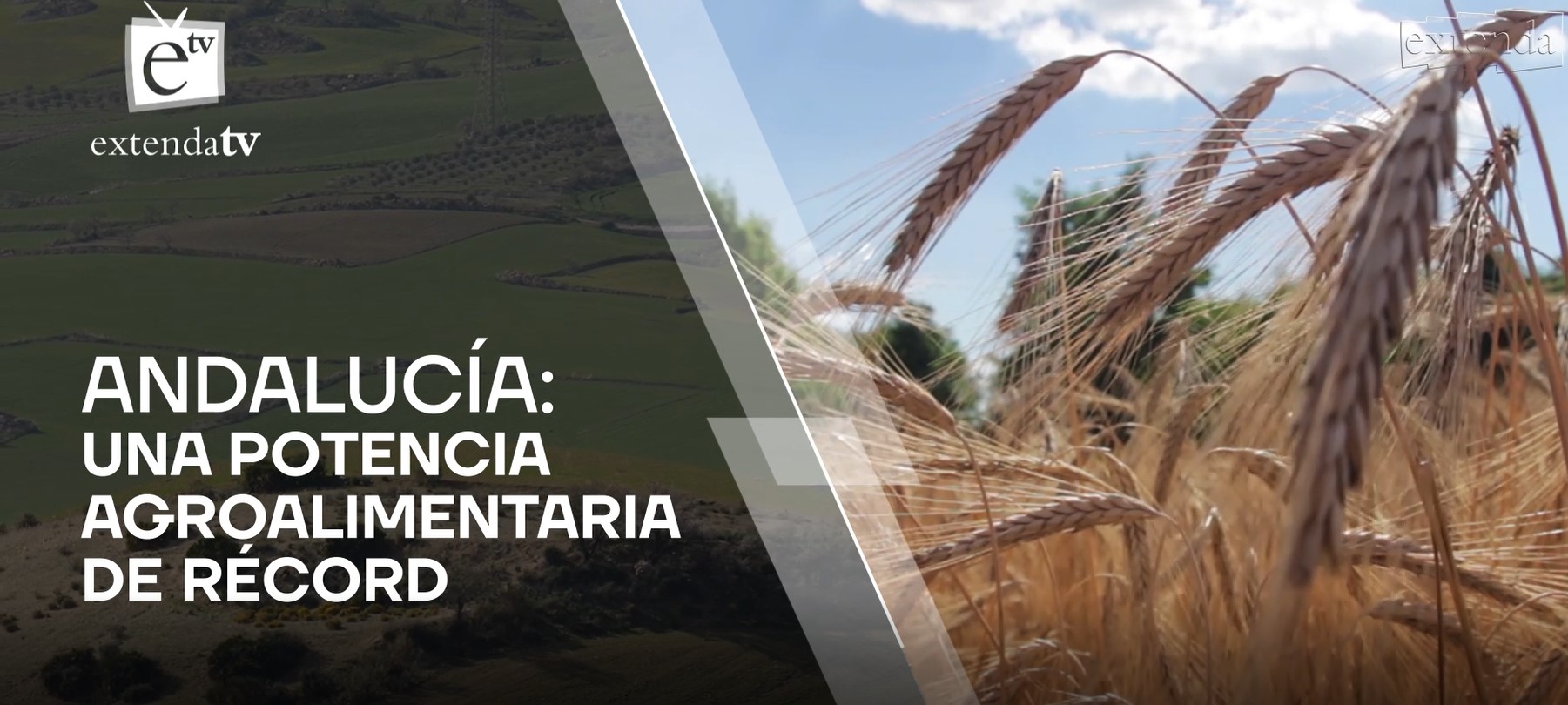 ANDALUCÍA: UNA POTENCIA AGROALIMENTARIA DE RÉCORD