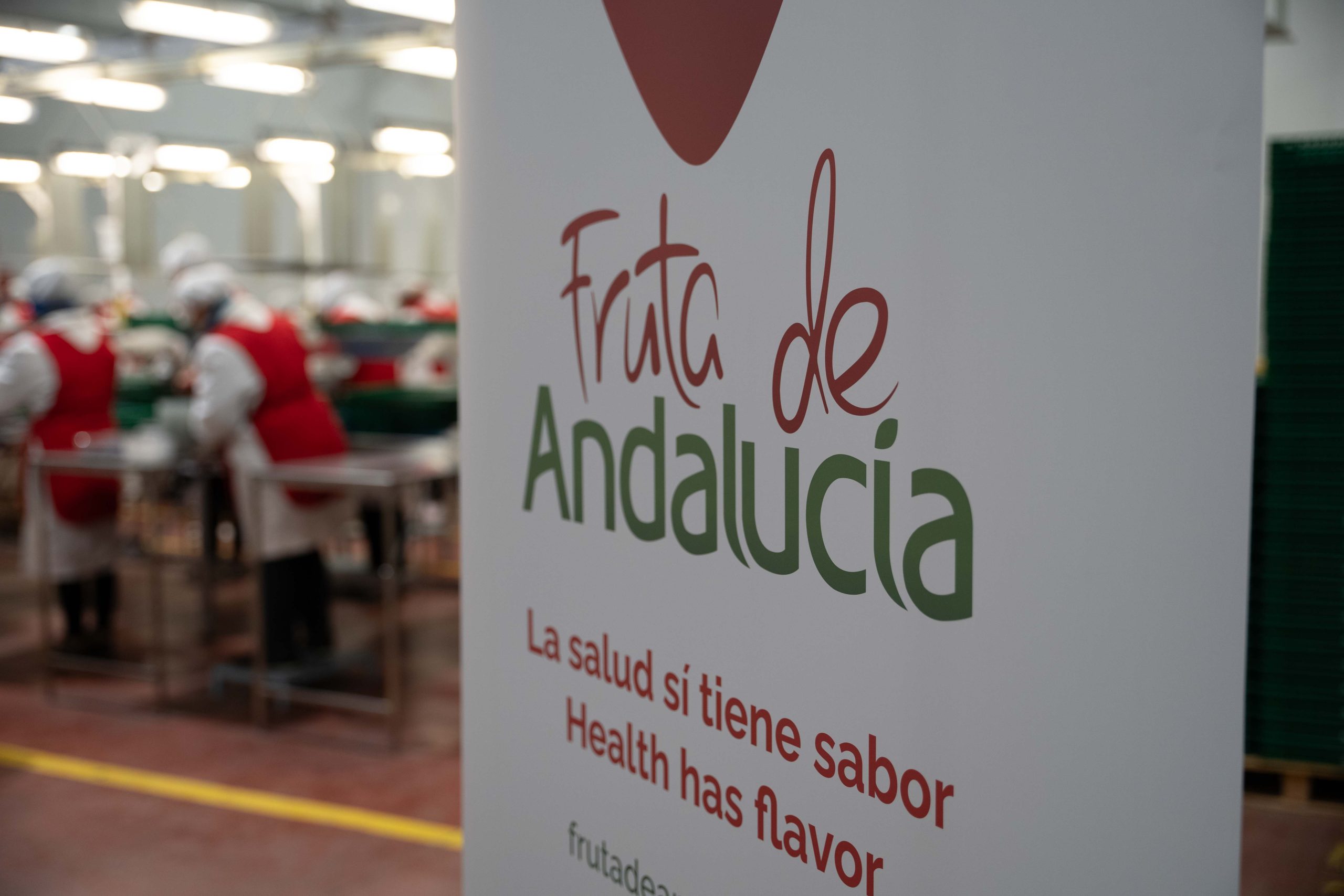 FRUTA DE ANDALUCÍA. Finalista en los Premios Alas 2023 en la Categoría de Empresa Exportadora