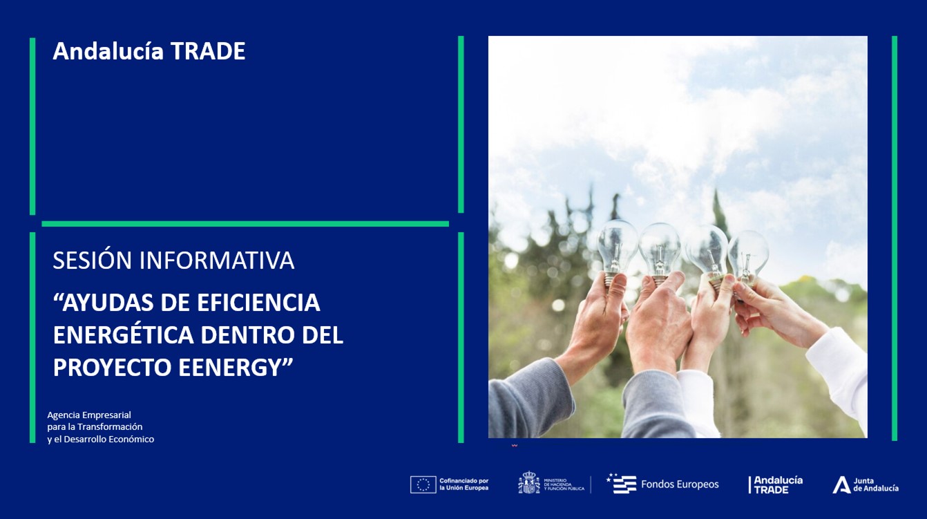 SESIÓN INFORMATIVA - AYUDAS DE EFICIENCIA ENERGÉTICA DENTRO DEL PROYECTO EENERGY